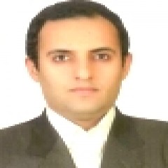 دکتر&nbsp;ناصر&nbsp;سعادت