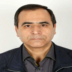دکتر&nbsp;سید حسن&nbsp;زارعی