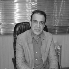 دکتر&nbsp;محمد مهدی &nbsp;امینی